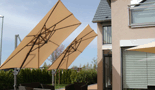 Sonne im Garten